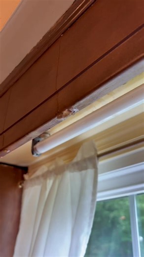 1K views | Why was water coming out of the siding #plumber #diy | 4th Gen Plumbing | Facebook