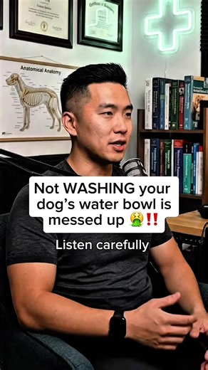 Not WASHING your dog’s water bowl is messed up 🤮‼️ #dogexpert #dogtips #dogwaterbowl #doghealth #fyp