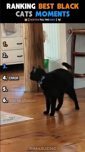 RANKING BEST BLACK CATS MOMENTS