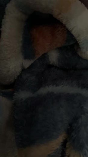 Sweet pickles🍜 (@sweet.pickles21)’s videos with original sound - Sweet pickles🍜