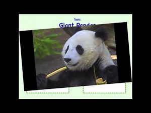 Integrating Information from Multiple Texts | 4th Grade Reading | eSpark Instructional Video