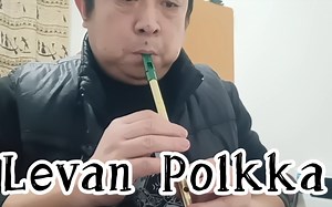 哨笛-Levan Polkka