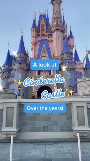 DisneyFoodBlog on TikTok