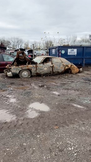 579K views · 4.9K reactions | Where has this 1970s Ford been for the past 30 years? Lake, River, Pond ? #fordcars #classiccar #magnetfishingfinds #floodedcar #autorecycling #junkyard #autopartscity | Auto Parts City, Inc. | Facebook