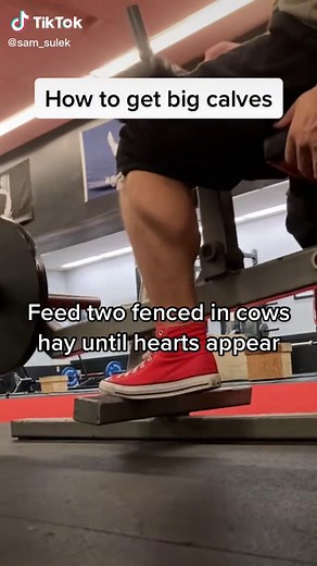 Ultimate Minecraft Bodybuilding Gym Tips