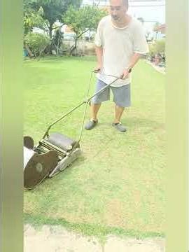 1949 JP Super 12" 5-blade manual reel mower. #reelmower #manualmower #jpsuper #zoysia #classicmower