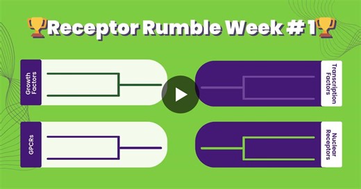 #receptorrumble #drugdiscovery #cellsignaling #gpcr #nuclearreceptors #transcriptionfactors #growthfactors #biotech | INDIGO Biosciences, INC