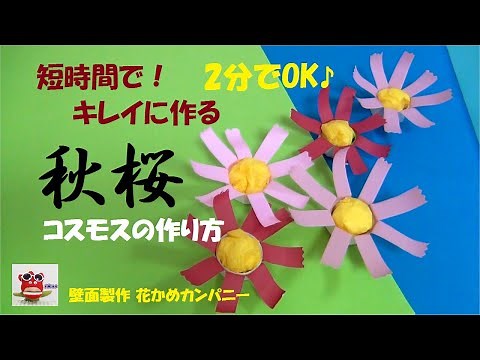 【折り紙コスモス】簡単「2分できれい！立体コスモスの作り方」壁面飾り 保育製作 介護レクリエーション How to make cosmos