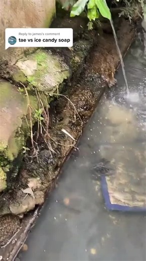 Ice Candy Soap vs Tae: A Fun Comparison