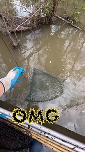 459K views · 2.8K reactions | SNAKE!!! Not what you want hanging out of your crawfish trap!!!  #crawfish #snake #snakes #swamp #swamlppeople #dalandrylife #fypシ Jacob Landry (swamp People) Troy Landry | Da Landry Life | Facebook