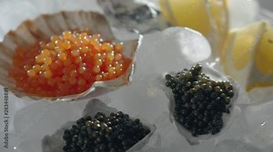 Black Granular Sturgeon Caviar in Oyster. Sturgeon Fish eggs luxury Snack. Trout Delicatessen. Red salmon caviar. Molecular cuisine Crab and scallop in Ice. Luxury Appetizer. Loop 4K URSA camera