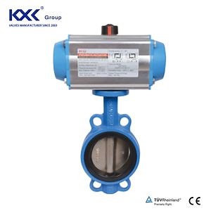 [Hot Item] Pneumatic Actuated Di/Ci Butterfly Valve