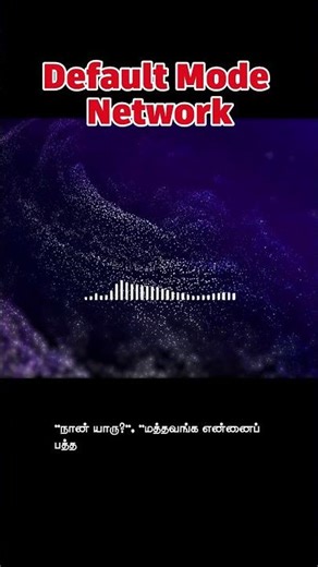 ஈகோ ஸ்பாட் DMN - EGO SHORT 3