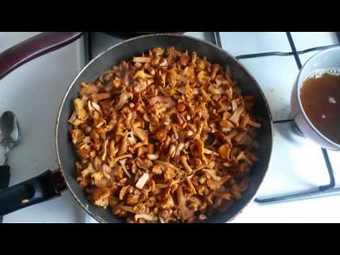 Girolles préparation cuisson