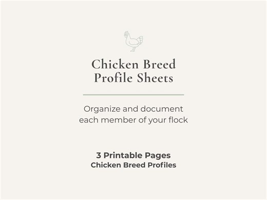 Chicken Breed Profile Sheets | Flock Profile & Hen Record Pages | Backyard Chicken Printable PDF - Etsy