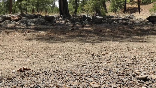 Exploring Bandera volcano and the ice caves. Bandera is a very accessible cinder cone volcano on private land between El Malpais and El Morro (Hwy 53). The ice caves are a testament to the insulation quality of volcanic rock. Based on archaeological findings, humans found the ice caves long ago, using them for ancient air conditioning. Samples tested indicate the ice has been accumulating for thousands of years. | New Mexico Nomad