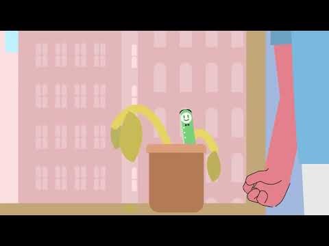 FBLA - Digital Animation // 2022 - 2023 // Cypress Woods High School