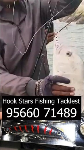 Heavy Minnow Fishing Lure Review | Best Sinking Hard Bait for Big Fish 🎣#Lure#HeavyMinnow#MinnowLure