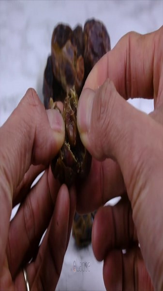 230 days in 5 minutes: Date palm grows from seed | Amazing time-lapse + dragon fruit from seed: 120-day time-lapse of germination & growth