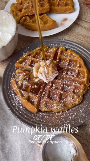 It’s officially pumpkin season!! Start off your morning with these super moist pumpkin waffles! Full recipe can be found on my website www.goldengracekitchen.com. Just search pumpkin waffles or Google golden Grace kitchen, pumpkin waffle. #waffles #pumpkinwaffles #pumpkinseason | The Golden Grace Kitchen
