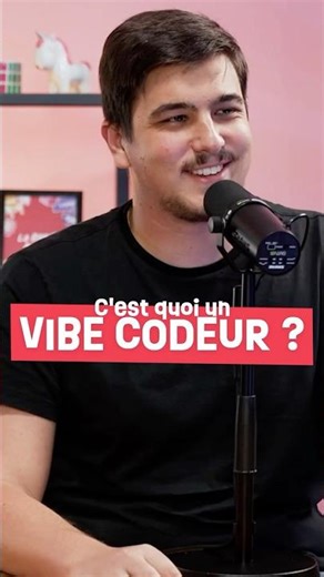 C'est quoi un VIBE CODEUR ? 🧑‍💻