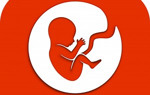 BitLife: How to Improve Happiness