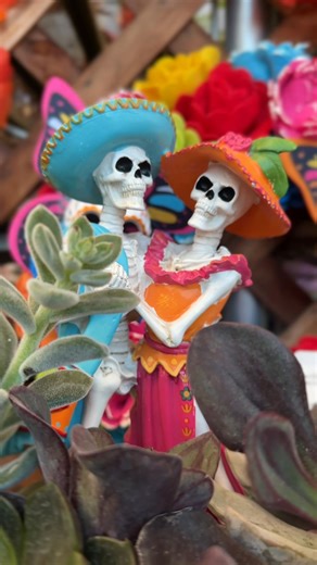 A beautiful reminder to celebrate life, color, and memory. 🌺💀✨ Everything you see here…from the festive florals to the Day of the Dead planters…is available right here at Pete’s ACE Hardware. Stop by and add a little color and tradition to your home this season. ❤️💐 Pete’s ACE Hardware – Castro Valley #PetesAceHardware #CastroValley #DayoftheDead #FallDecor #ShopLocal #Coco #RememberMe | Pete's ACE Hardware