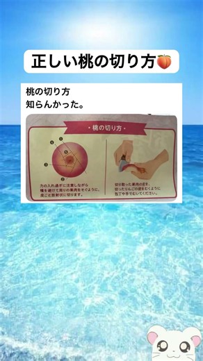 正しい桃の切り方