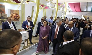Erfoud : Ouverture du 11e Salon international des dattes