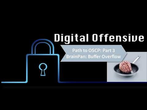 Path to OSCP: Video 3: Part 2: BrainPan: Buffer Overflow