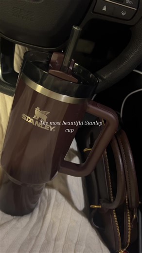 Perfect Winter Color for Your Stanley Cup Collection