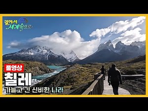 [걸어서세계속으로Full📺] 세계에서 가장 긴 나라 '칠레' Trip to Chile (KBS 20230603)