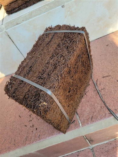 Tree Fern Orchid Mounting Plates, Indoor/outdoor Planter (set of 4) - Etsy