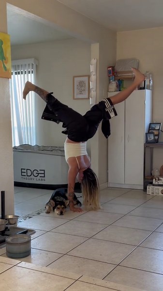 Circus dog afraid of absolutely nothing