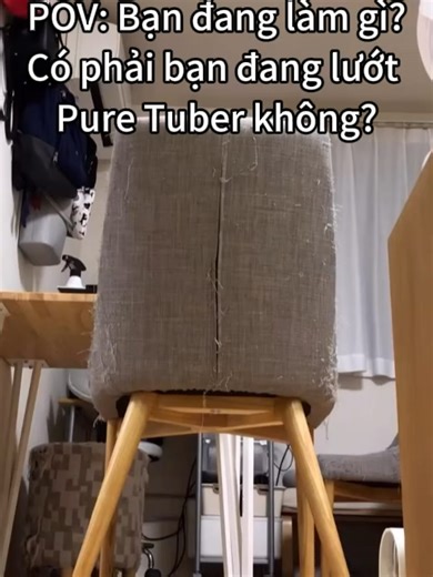 Phải zị honggg 😁😁 #puretuber #vui #haihuoc #giaitri #mèo #cat