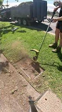 The Real Difference Between Using a String Trimmer and Edger for a PERFECT Lawn Edge