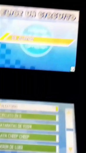 Mario Kart DS 2025 online (wiimmfi) #mariokart #mariokartds #mariokartonline #peace #world #wiimmfi