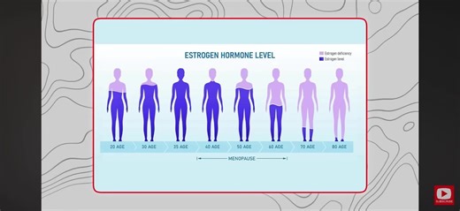 #A clear chart showing estrogen loss at different ages in women