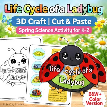 Life Cycle of a Ladybug 3D Craft | Cut & Paste Spring Science Activity for K–2