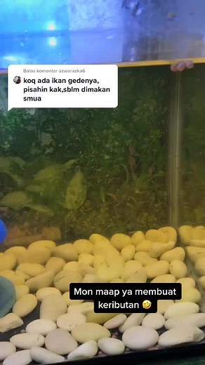 Balas @azwarazka6 #voiceeffects