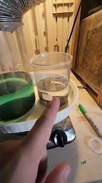 Silver Refining using Sulfuric Acid