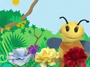 Baby Einstein Baby's First Sounds ✩✩✩ Baby Einstein