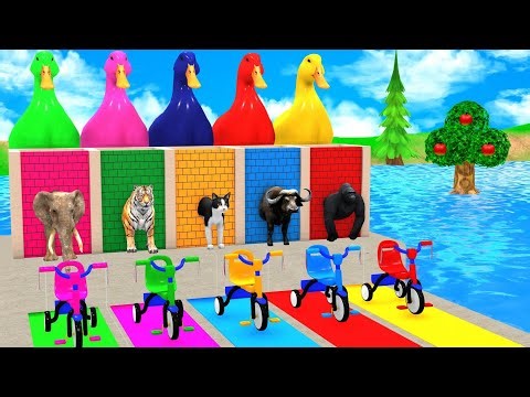 Epic Zoo Animal Race on Giant Slide - Funny 3D Game