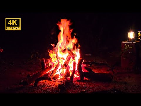 Campfire Sleep Sounds with Crickets Chirping - Campfire Ambience with Night for Relaxation, Sleep