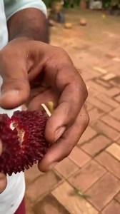 Rayan pets farm on Reels