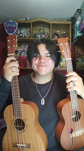 🔥Tenor Ukulele vs Baritone Ukulele🔥🎸: Flight NUT310 & NUB310 #ukulele #ukelele #tenorukulele #baritoneukulele #flightukulele #musician #ukuleles #fyp | Flight Ukulele