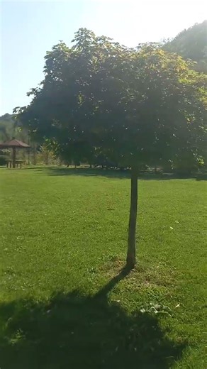 Uredan vrt izgleda ovako