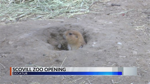 Scovill Zoo in Decatur getting ready to open