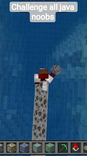 java noobs #minecraft #challenge #shorts