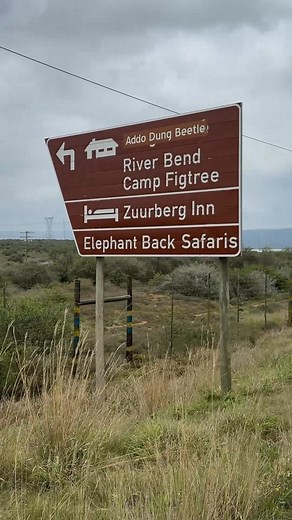 Slow mornings. Golden sunsets. Game drives that steal your breath...